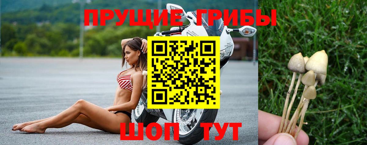 сколько стоит  Галлюциногенные грибы мухоморы  Вход с VPN  Кировск  Галлюциногенные грибы MAGIC MUSHROOMS 
